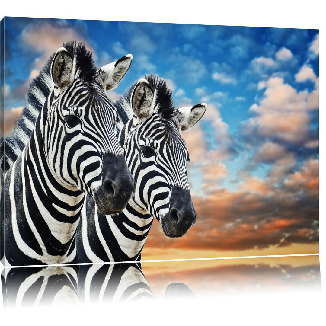 Leinwandbild Zebra Pärchen