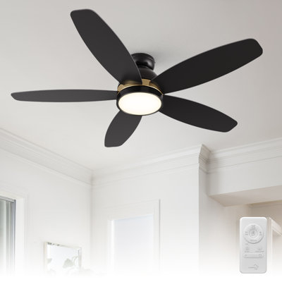 Mintun 48" Flush mount Ceiling Fan with Light and Remote Control