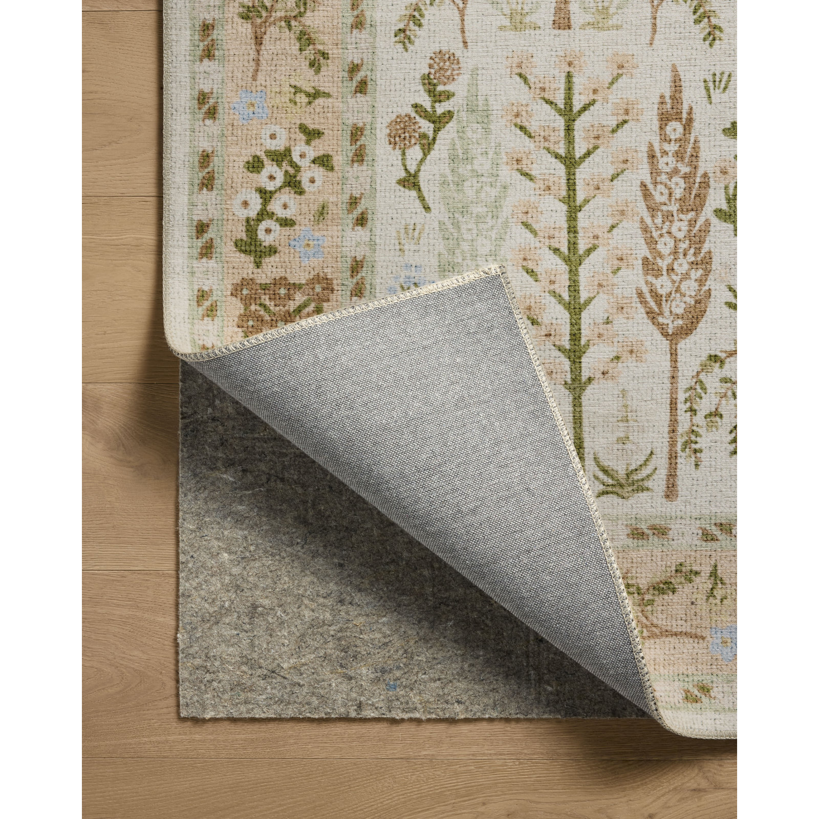 Canopy Cream Area Rug, Rectangle 6' x 9'