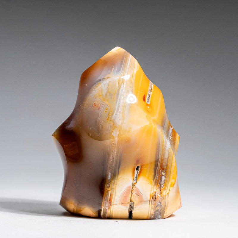 Véritable forme d'agate polie véritable flamme de Madagascar (1,15 lb)