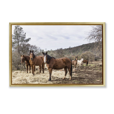 «Horse Family Grazing Land», art mural sur toile flottante, conception par PIDDIX