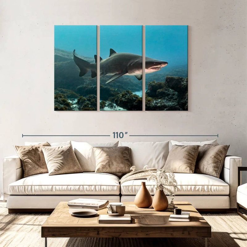Aliwal Shoal Shark
