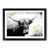 Black Framed selected