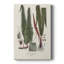 Botanical Society Ferns IV - Gallery Cavas