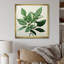 Menthe fraîche, feuilles de minimalisme sérénité II-1610296213-1610296218