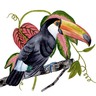 Toco Toucan II by Melissa Wang - Wrapped Canvas Painting