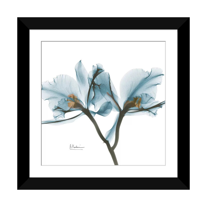 «Orchid», reproduction d'impression sur toile, H 24 po x l 24 po x P 1 po, Papier d'art encadré noir, Blanc