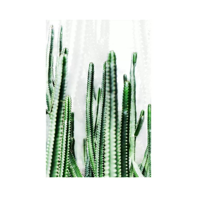 Cactus IV by Mareike Böhmer - Wrapped Canvas Print, 20.32 cm H x 30.48 cm W