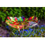 Bain d'oiseaux en verre Lahziri-687791906-687791914