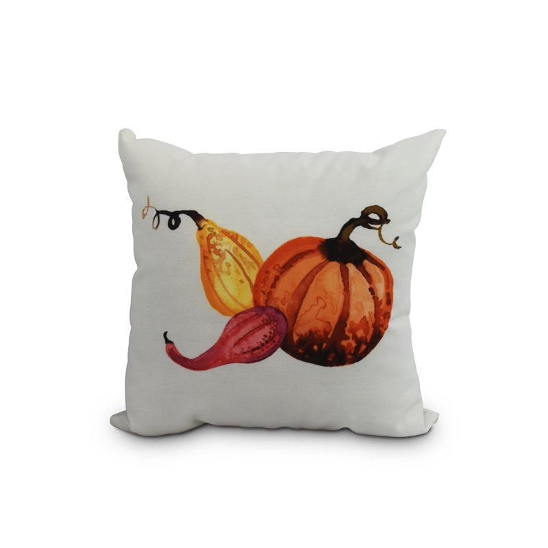 Housse et insert de coussin carré en forme d’automne gourd Bigner, Blanc, 16 po x 1 po