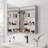 Lendall 20.05'' W 28.05'' H Medicine Cabinet Mirror