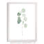« mou eucalyptus branch i » par paul cezanne-cadre photo, reproduction d’art-693925080-693925085-693953563