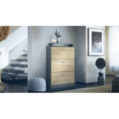 24 Pair Shoe Storage Cabinet