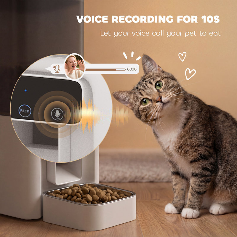 Automatic Feeder