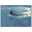 Tapis à frottement Guy Harvey-100240450