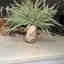 Customer photo 2 of 2