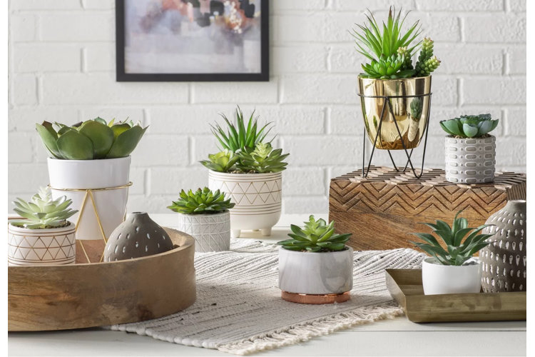 The Ultimate Guide to Plant Pot Sizes & Types