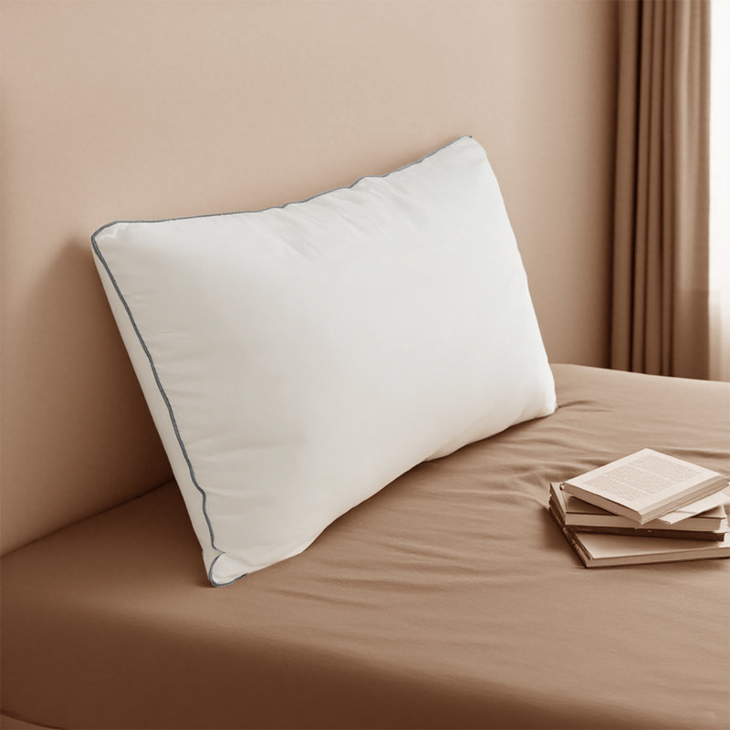2 coussins décoratifs de style hôtel avec bordure bleue, doux et doux pour la peau, convenant à la chambre à coucher et au salon