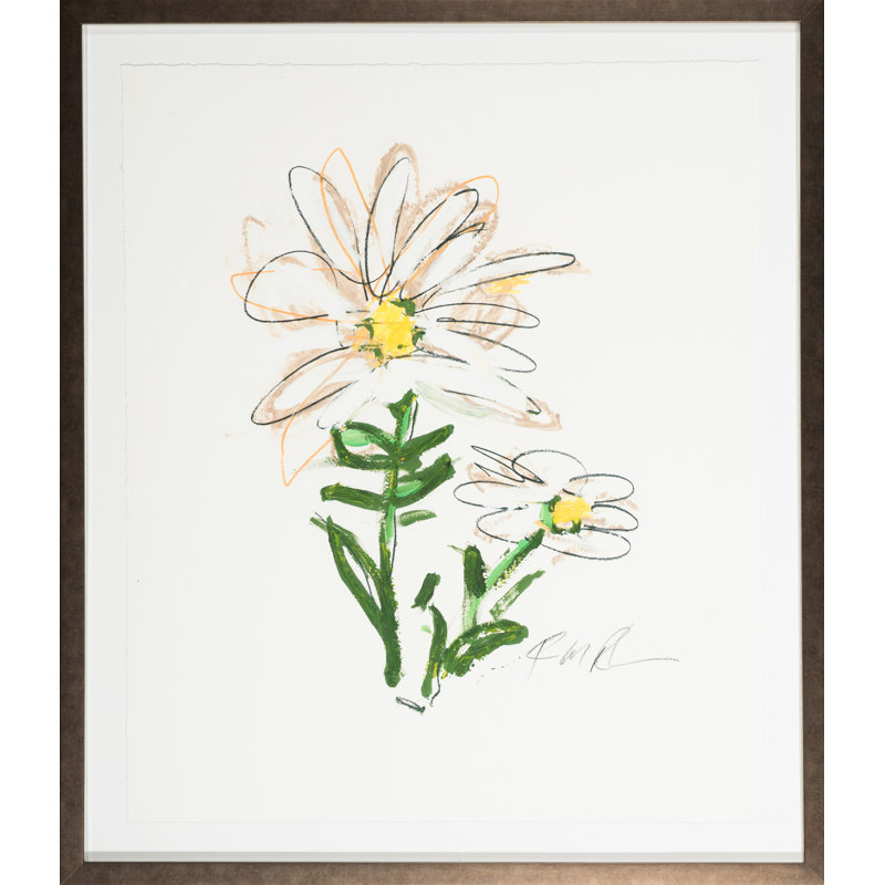 Yellow And White Daisy - Flower 5 Print by Robert Robinson
