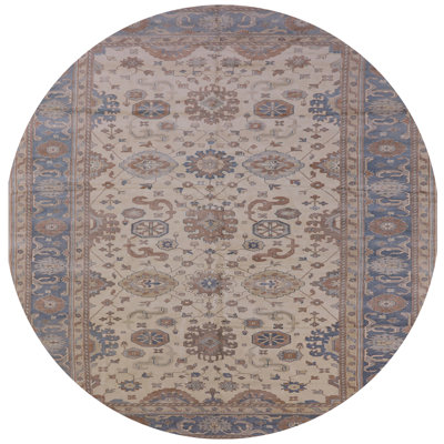 Arushad Oriental Indoor Rug