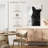 Brampt Black And White Cat-108442918