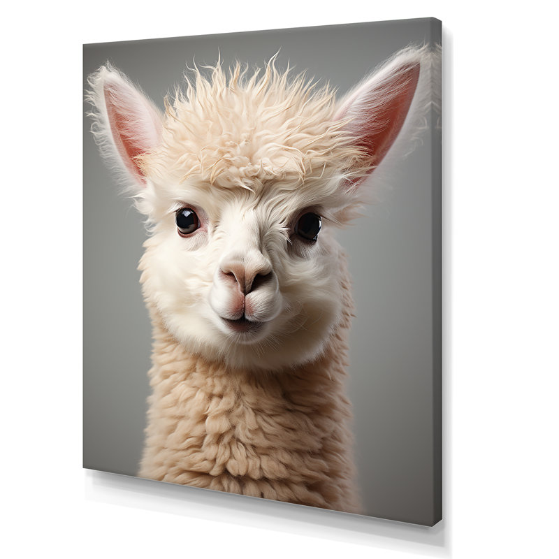 Blanc alpaga majestueux - art mural Alpaca, H 32 po x l 24 po x P 1 po, Toile tendue