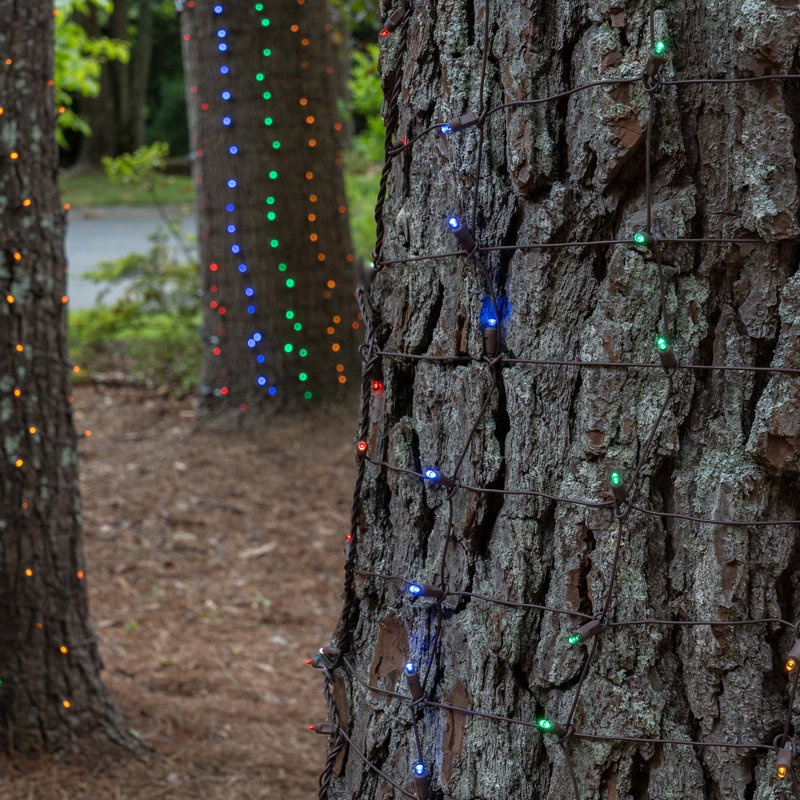 LED Net Lights, Multi