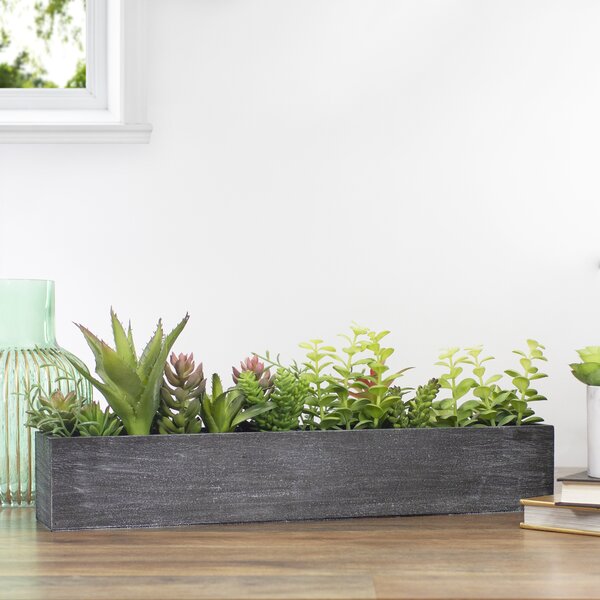Northlight 23 Artificial Mixed Succulent Plants in A Rectangular Planter