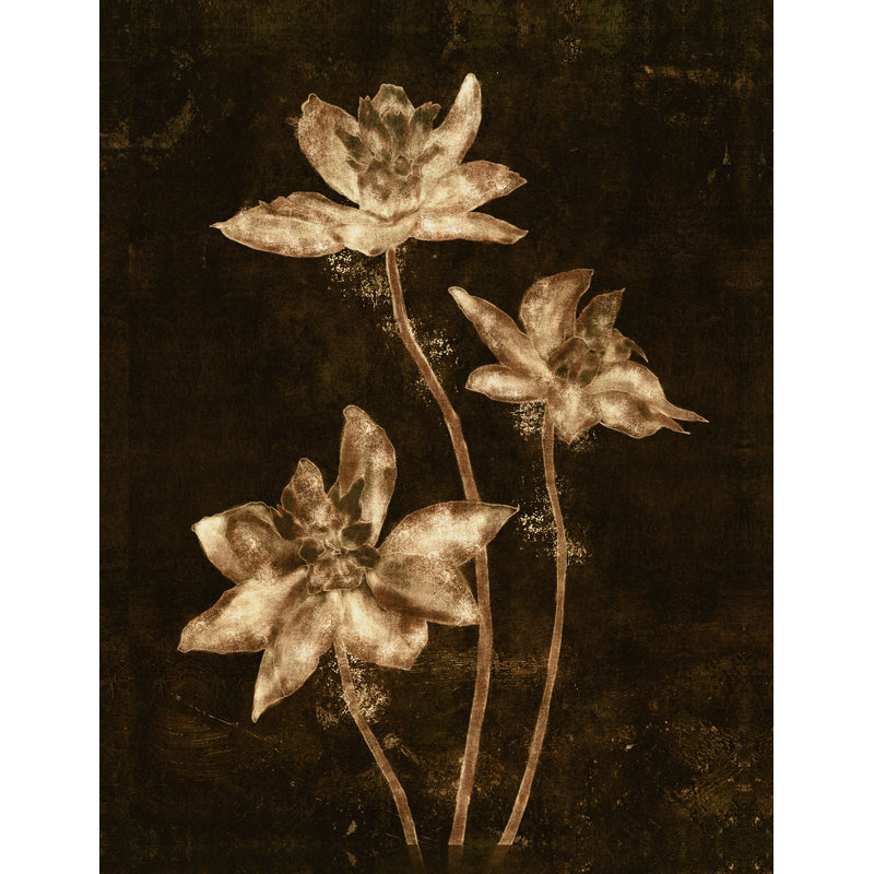 Sunset In Bloom II Print by Sofia Fox