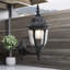 Adalyna 35.5cm H Outdoor Armed Sconce-2003187992