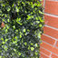 120cm Faux Boxwood Tree in Pot Liner
