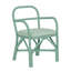 Chaise en rotin vert-2021978289