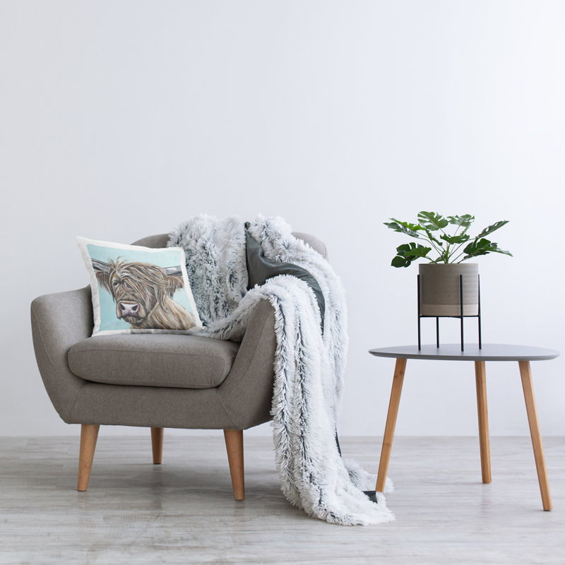 Throw Pillow