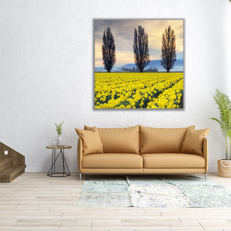 «Skagit Valley Daffodils II», reproduction d'art sur toile, H 12 po x l 12 po