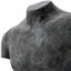 Torso Aristo