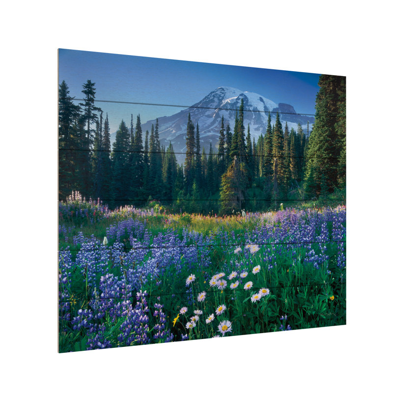«Rainier» par Alan Majchrowicz, L 22 po x H 18 po