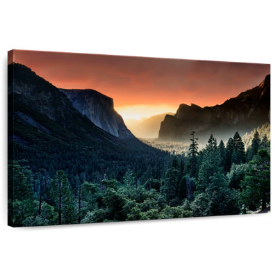 «Harnek Forest Last Light»