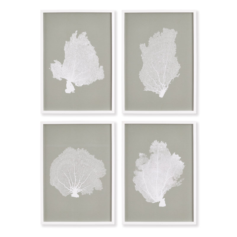 Hwan Coral Fans Study Prints, Set of 4