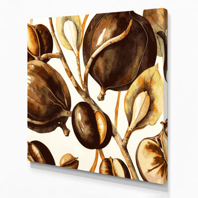 Vegetables Water Chestnut Brown Canvas Wall Art