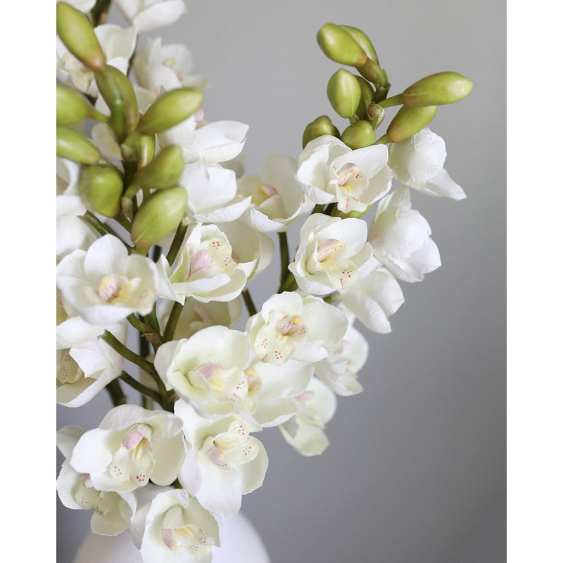 Cream Cymbidium Orchid 33", Cream