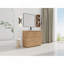 Ensemble de meuble-lavabo autoportant 40 po avec lavabo en céramique et 2 portes à fermeture en douceur et support de rangement, contreplaqué