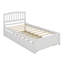 Lit simple avec lit gigogne en bois-330577361