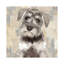 Miniature Schnauzer by Marie-Anne Stas - Wrapped Canvas Painting-173586946