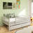 Daybed Wood Bed With Two Drawers-1241813149-1241813127