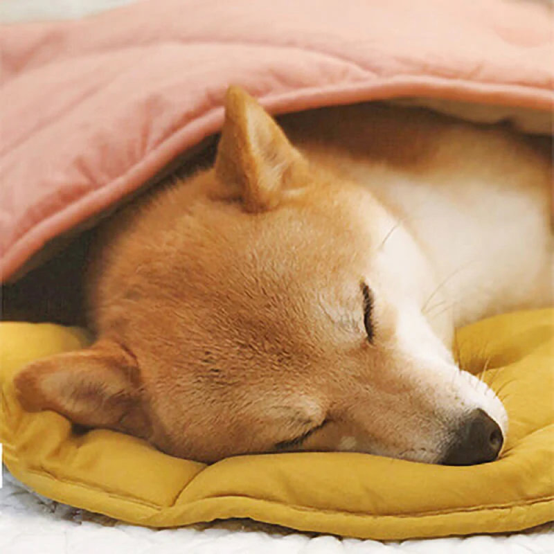 Leaf Shape Pet Blanket, Ginkgo Yellow