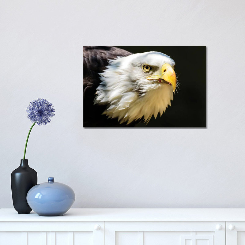 The Look by David Gardiner - Wrapped Canvas Print, 30.48cm H x  45.72cm W