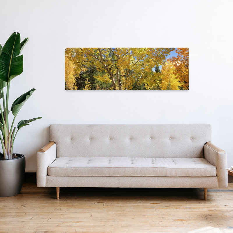 Aspen Trees in Autumn, Colorado, États-Unis, art contemporain de paysage forestier abstrait, H 48 po x l 16 po