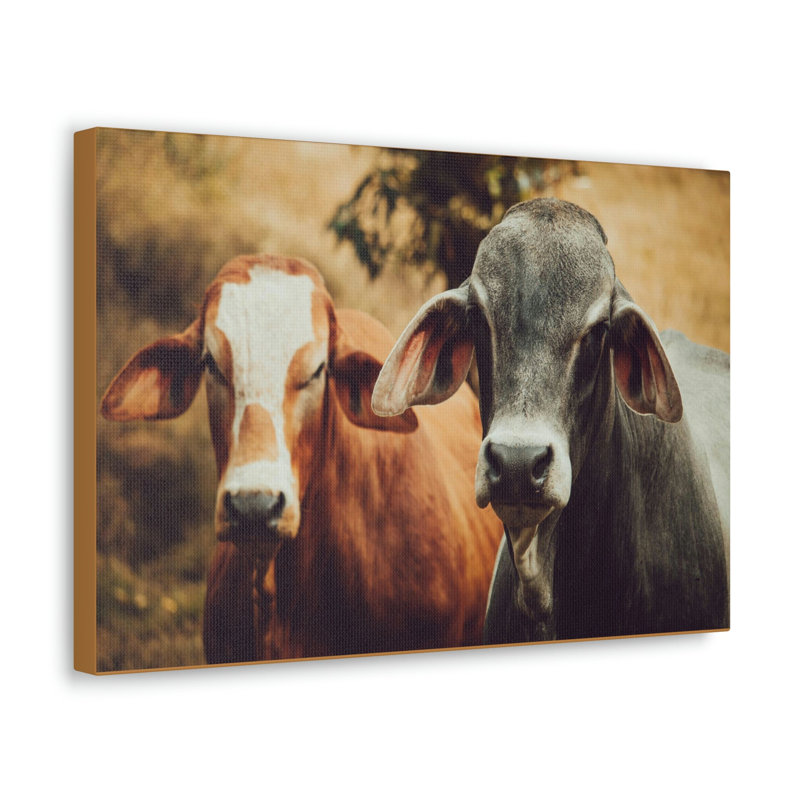No Frame Print on Canvas, 30.48cm H x 45.72cm W