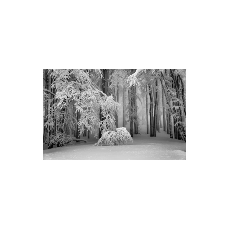Wrapped Canvas Print, 50.8 cm H x 76.2 cm W
