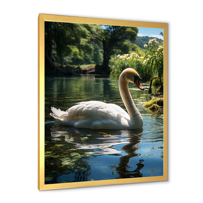 Cygne refuge dans un lac tropical - décoration murale animaux cygnes, Cadre photo noir, H 44 po x l 34 po